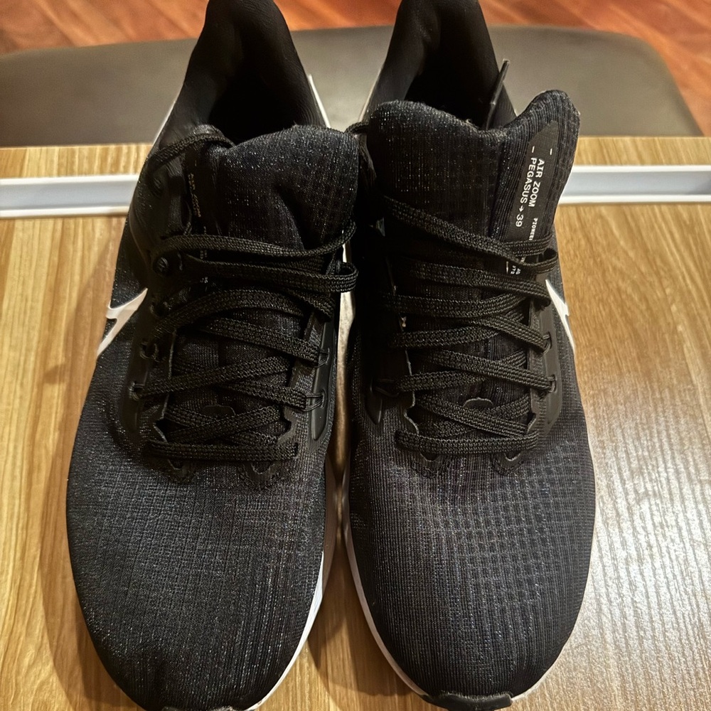 Air Zoom Pegasus 39
